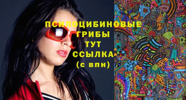 прущий лед Армянск